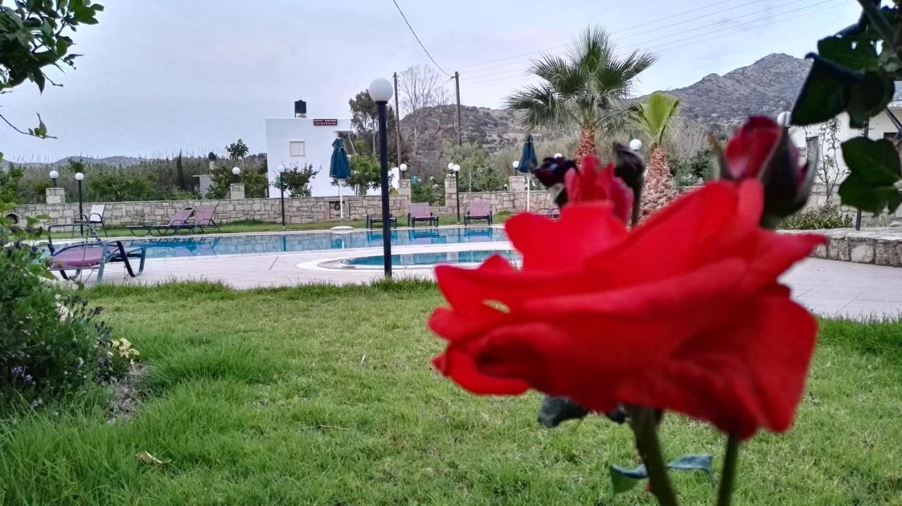 Dimitris Villa Hotel Matala Exterior foto